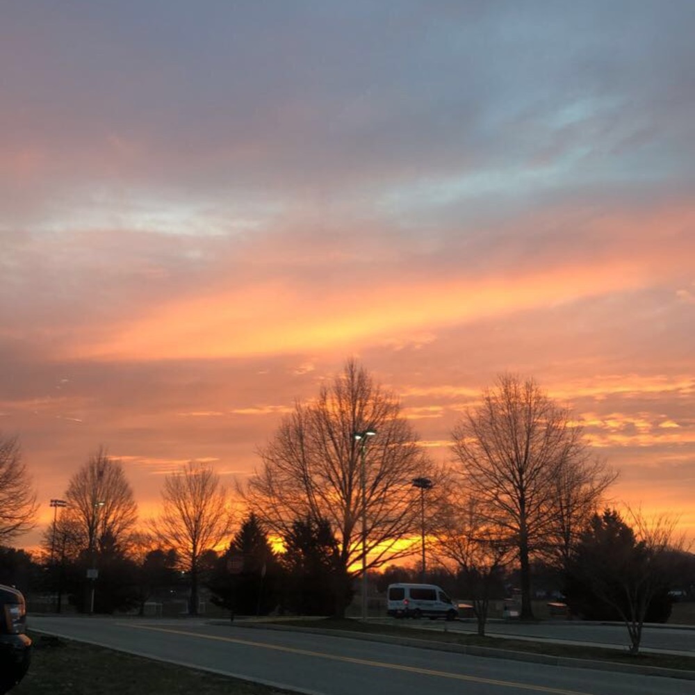 Meet your Posher, Rachel